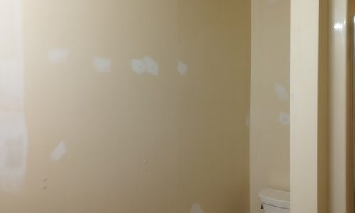 Bathroom Ceiling & Wall Restoration (Before)