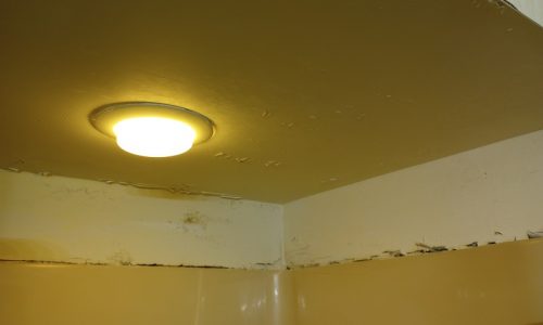 Bathroom Ceiling & Wall Restoration (Before)