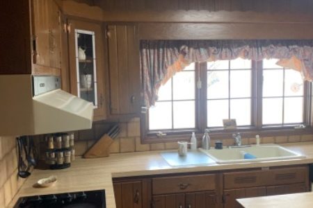 Kitchen Cabinet Painting & Remodel (Before)