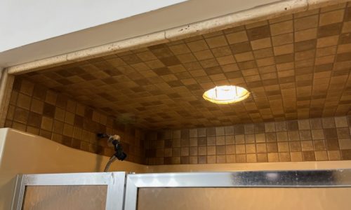 Bathroom Ceiling & Wall Restoration (Before)