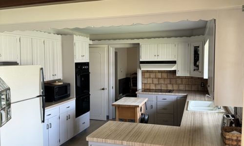 Kitchen Cabinet Painting & Remodel (Before)