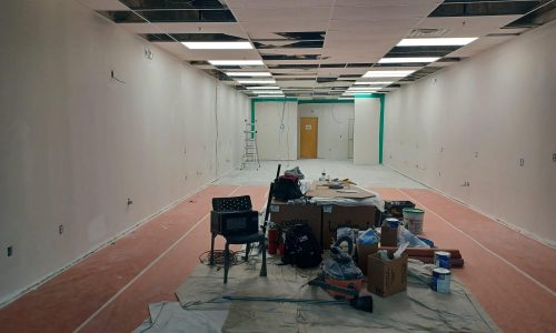 Main Walls Primed - During 91