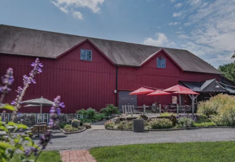 Chadds Ford Winery