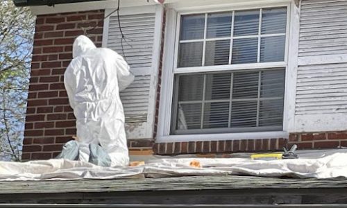 CPP Media Lead Project During