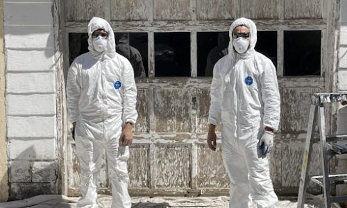 CPP Media Lead Project During