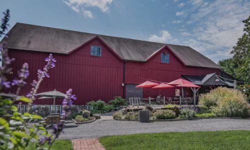 Chadds Ford Winery