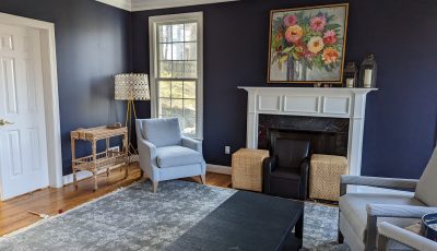 Blue Living Room Interior Painting