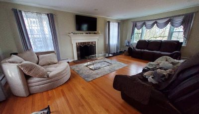 Living Room Painting & Dining Room Painting