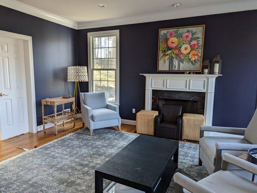 Blue Living Room Interior Painting