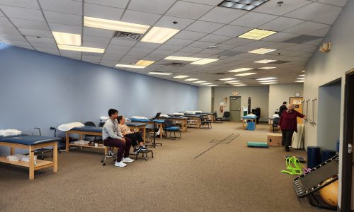 Physical Therapy Common Area