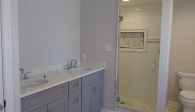 bathroom painting in Berwyn