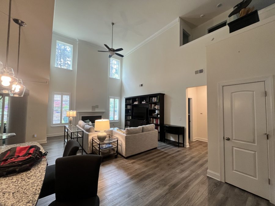 Before Living Room Painting Preview Image 2