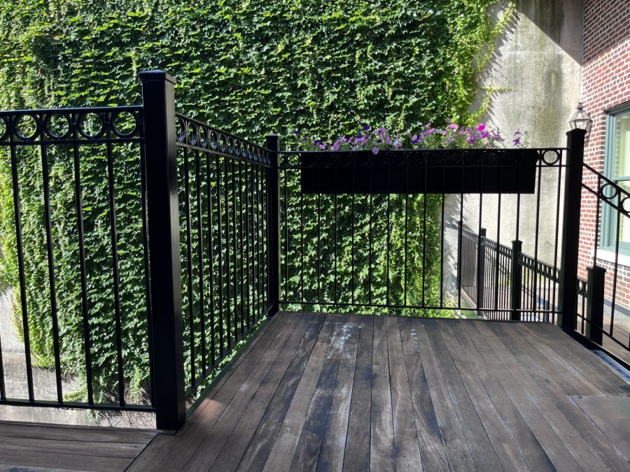 Exterior Railings Painted Black Preview Image 6