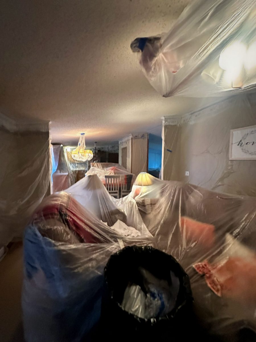 Gray Court, SC Professional Popcorn Ceiling Repair Preview Image 3