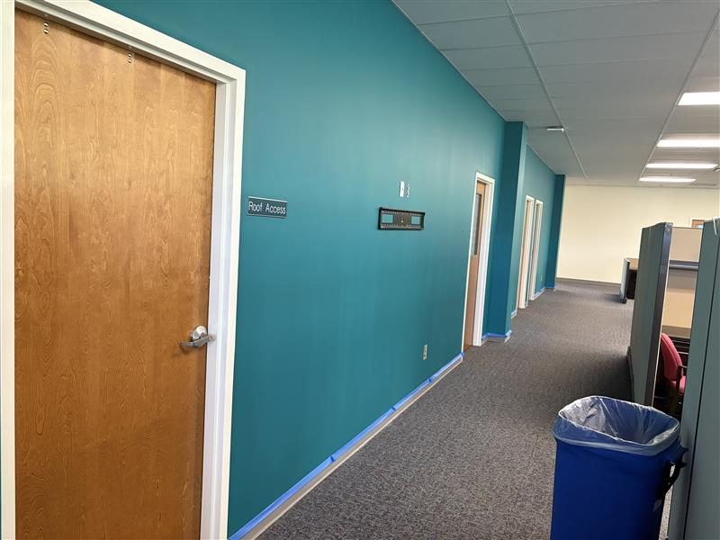 Before Updates Professional Painting Preview Image 3