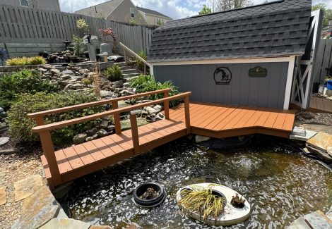 Greenville, SC Deck Painting Services