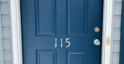 Front Door & Shutter Painting