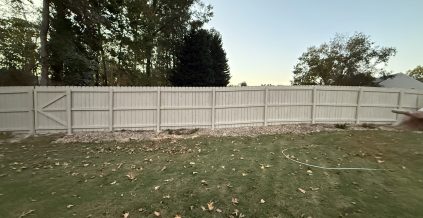 Fence Painting