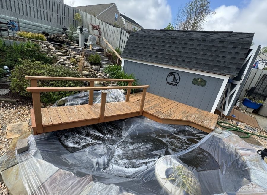 Before Koi Pond Deck Painting and Staining Preview Image 5