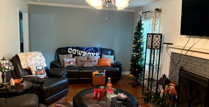 Living Room Interior Painting