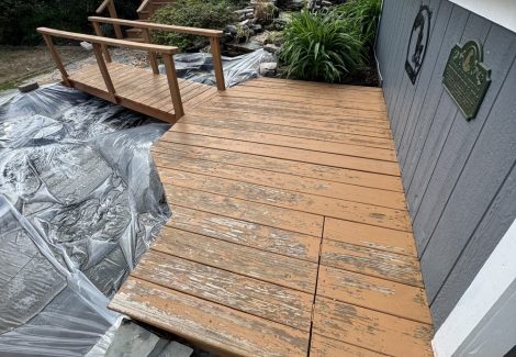 Before Professional Koi Pond Deck Painting
