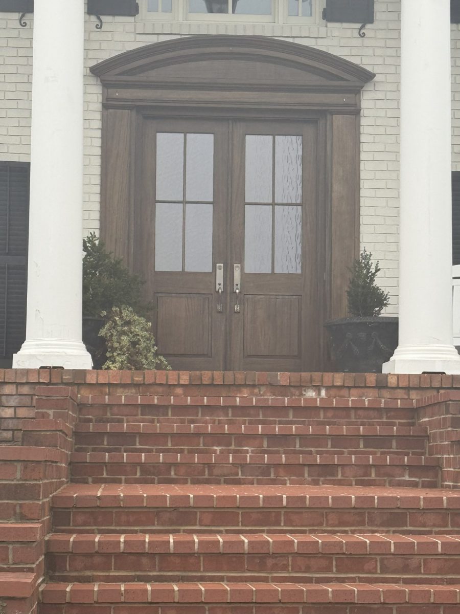 Before Front Door Staining Preview Image 1