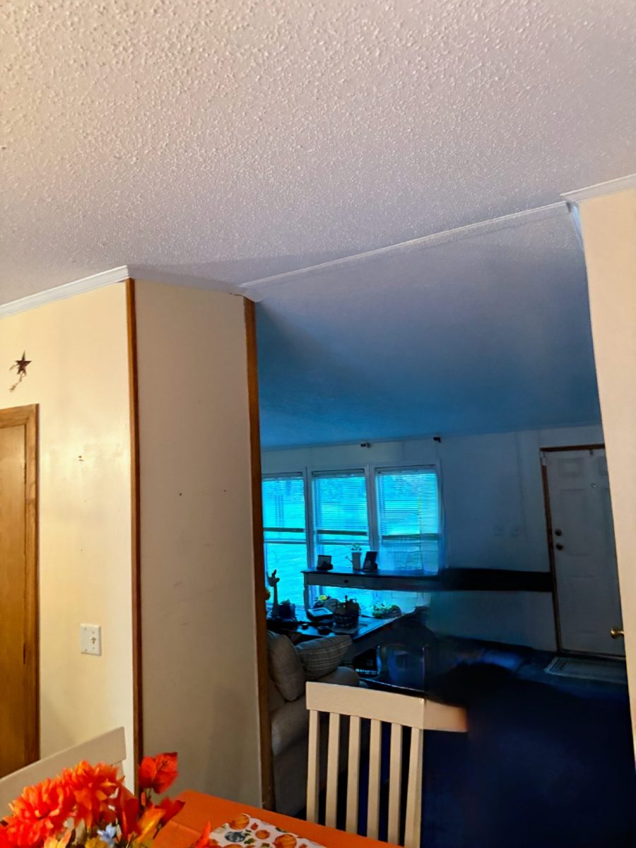 Professional Popcorn Ceiling Repair Preview Image 2