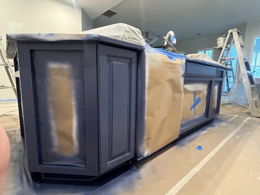 During Professional Cabinet Painting Preview Image 9