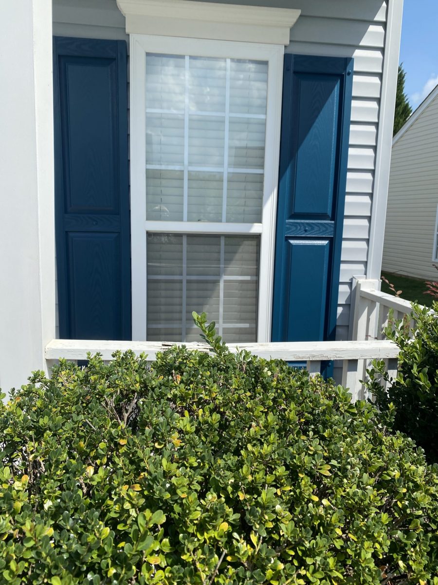 Professional Shutter Painting Preview Image 1