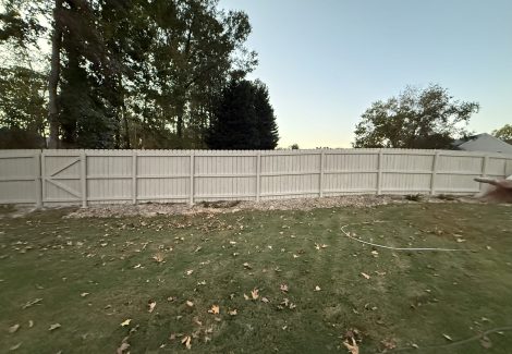Fence Painting