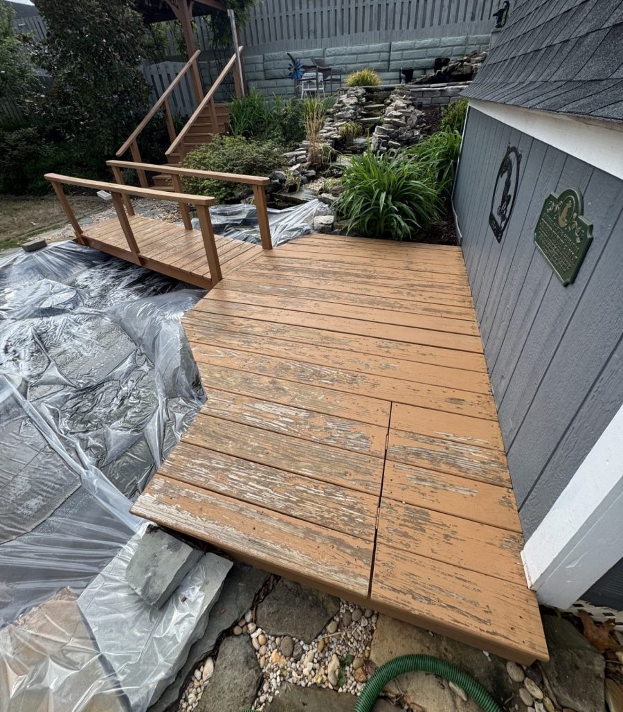 Before Professional Koi Pond Deck Painting Preview Image 6