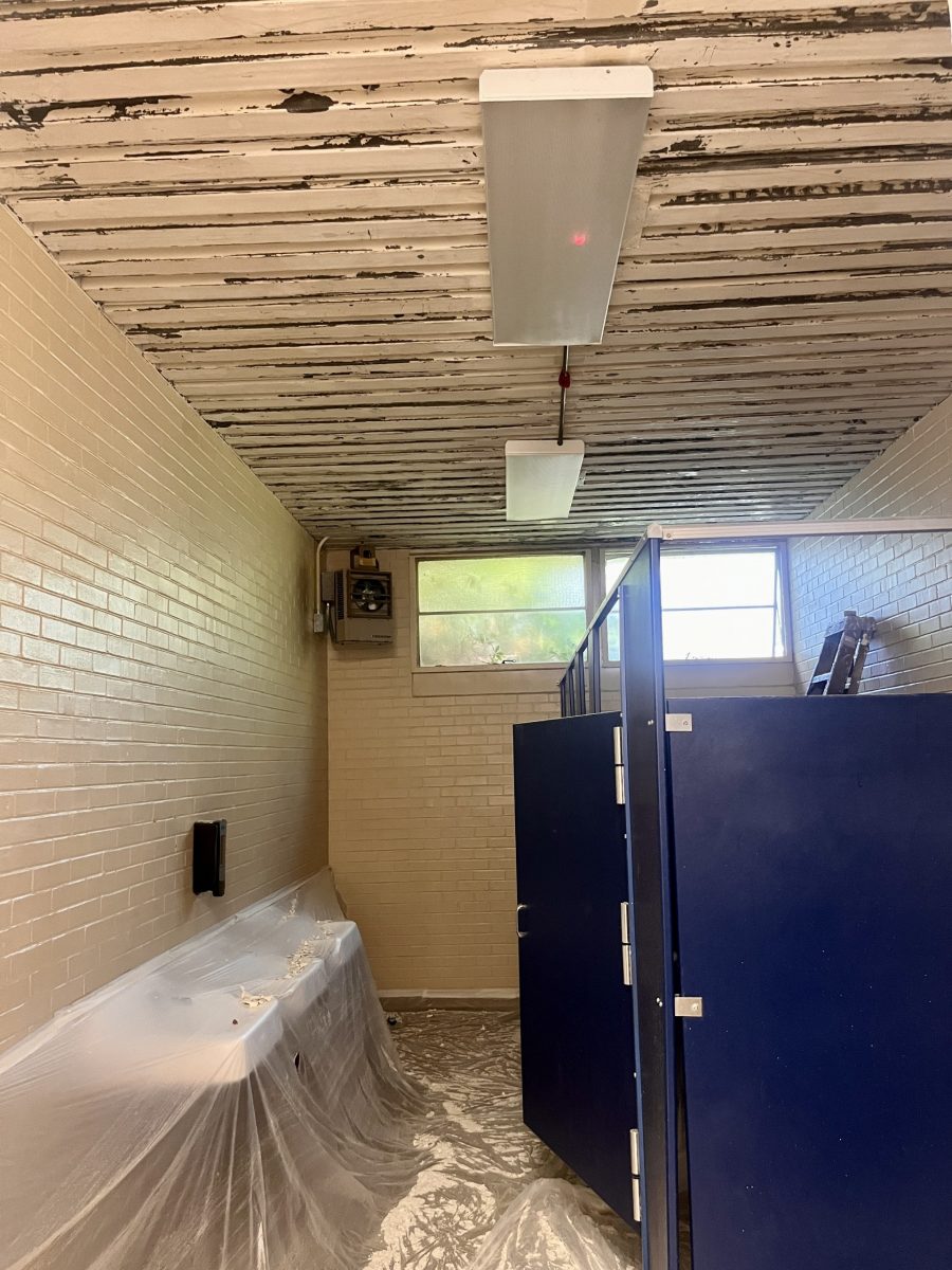 School Bathroom Ceiling Before Painting Preview Image 7