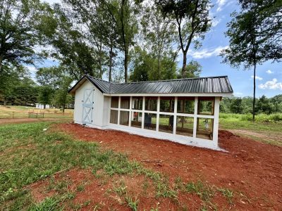 White chicken coop after exterior painting project