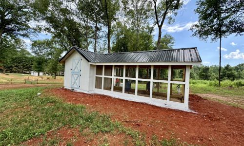 Chicken Coop Painting in Easley, SC