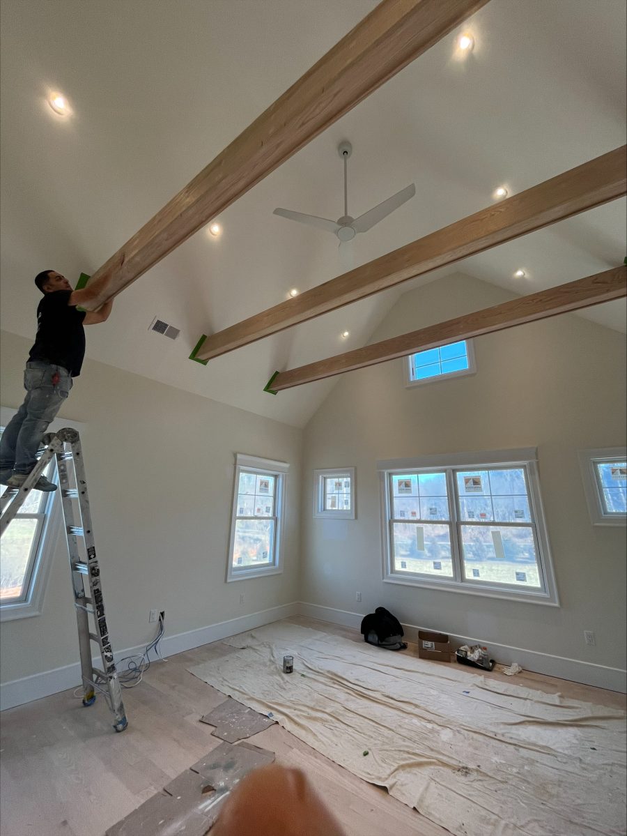 During Professional Staining Preview Image 2