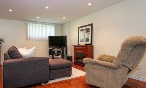 Basement Living Room