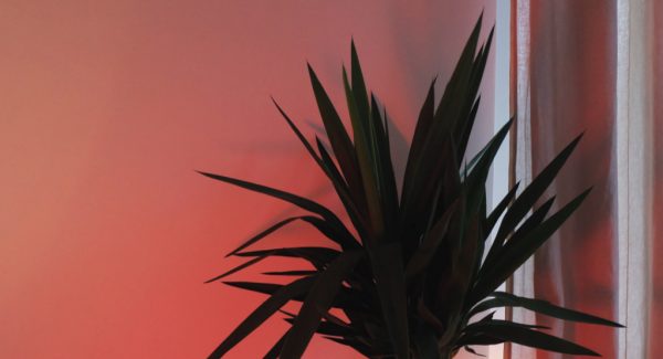 11 New Paint Colors You’d Never Use Until Now