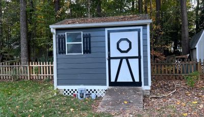 Shed Painting Project