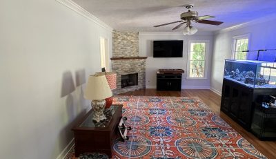 Family Room Painting Service