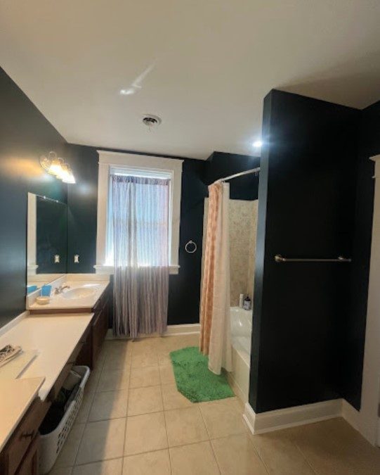 painted home bathroom Preview Image 1