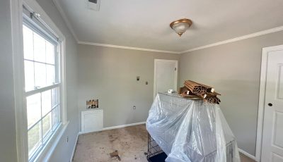 Residential Painting Project