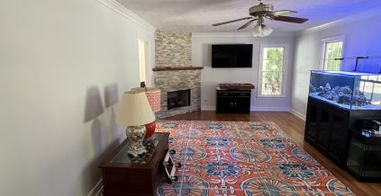 Family Room Painting Service