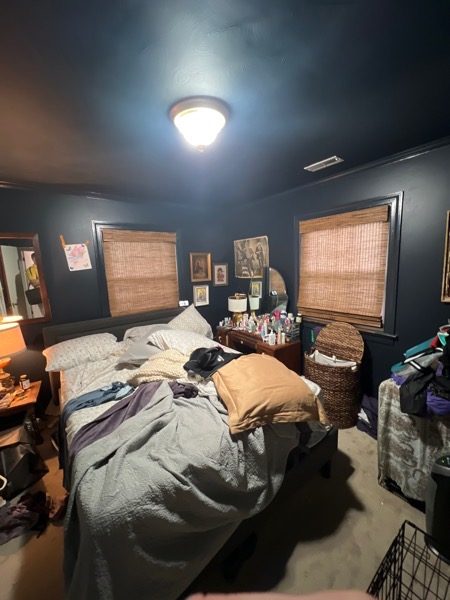 Residential Painting Project Preview Image 2