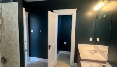 painted home bathroom