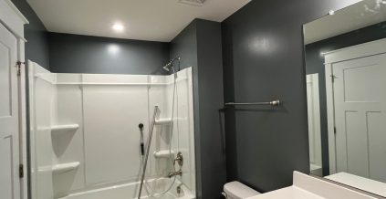 Bathroom Painting Service