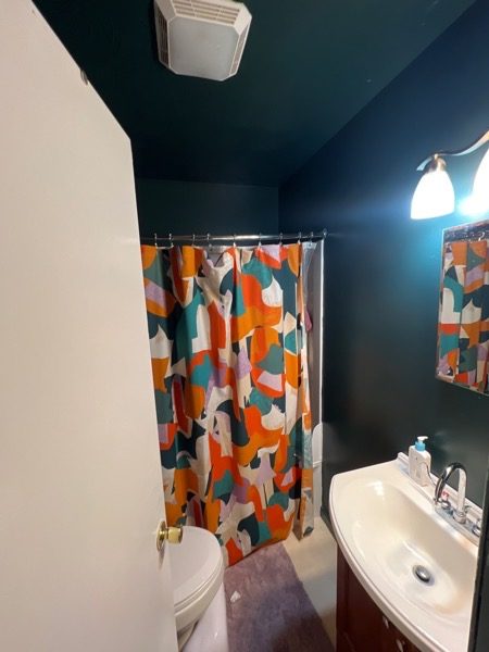 Residential Painting Project Preview Image 1