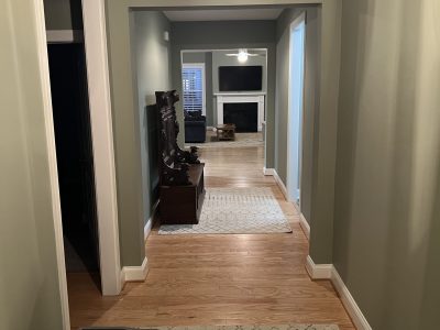 Residential Painting Project