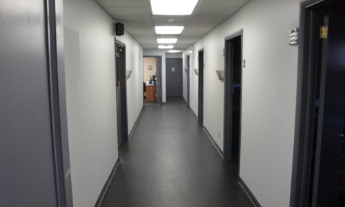 Modern Gray Halls