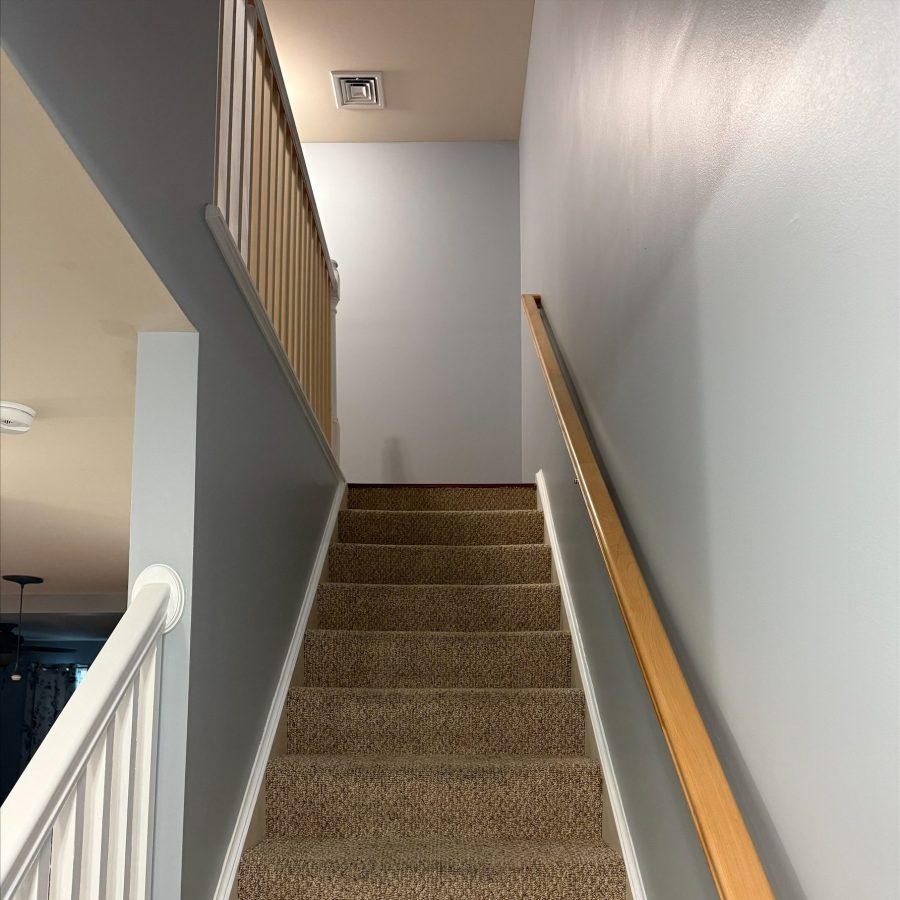 interior walls after painting Preview Image 4