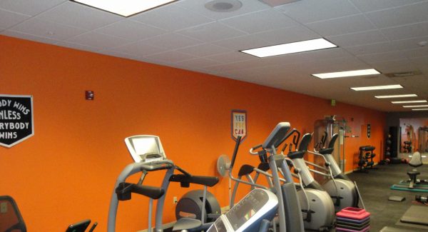 NPO Interior Painting